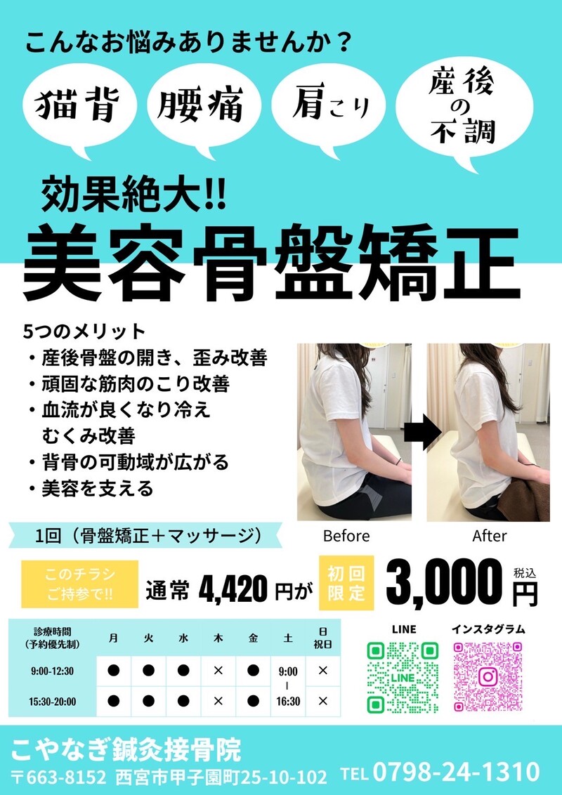 チラシ